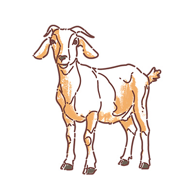 Goatery