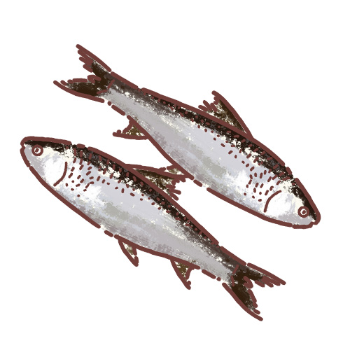 Bhangun (Medium Size)