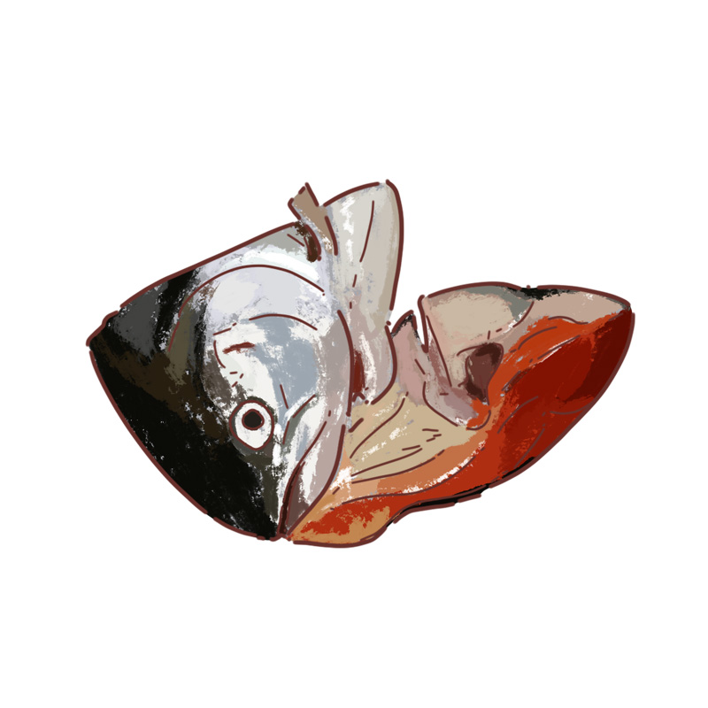 Fish Head