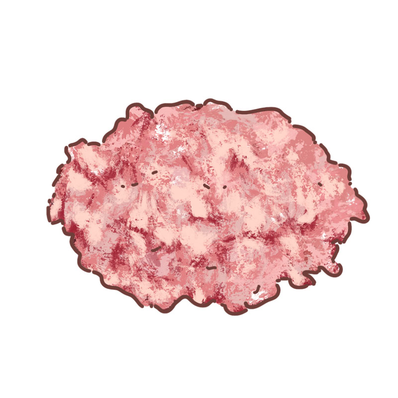 Broiler Chicken Keema